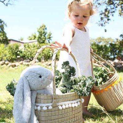 JellyCat